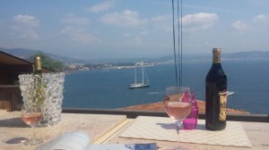 46_1_terras